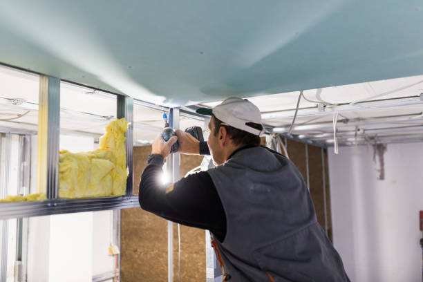 Attic Insulation Near Me in Independence, LA